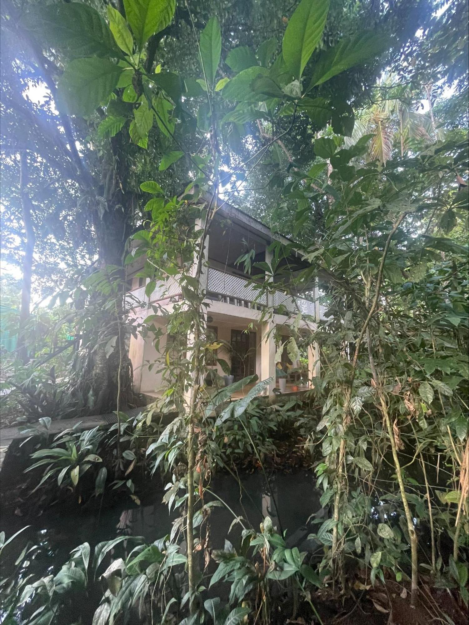 Casa Jaguar Tortuguero Villa Dış mekan fotoğraf
