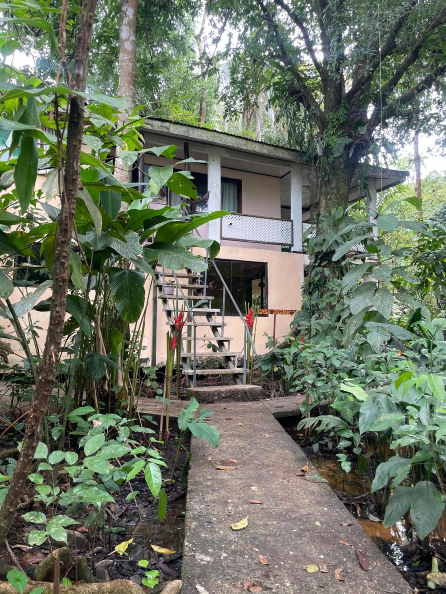 Casa Jaguar Tortuguero Villa Dış mekan fotoğraf