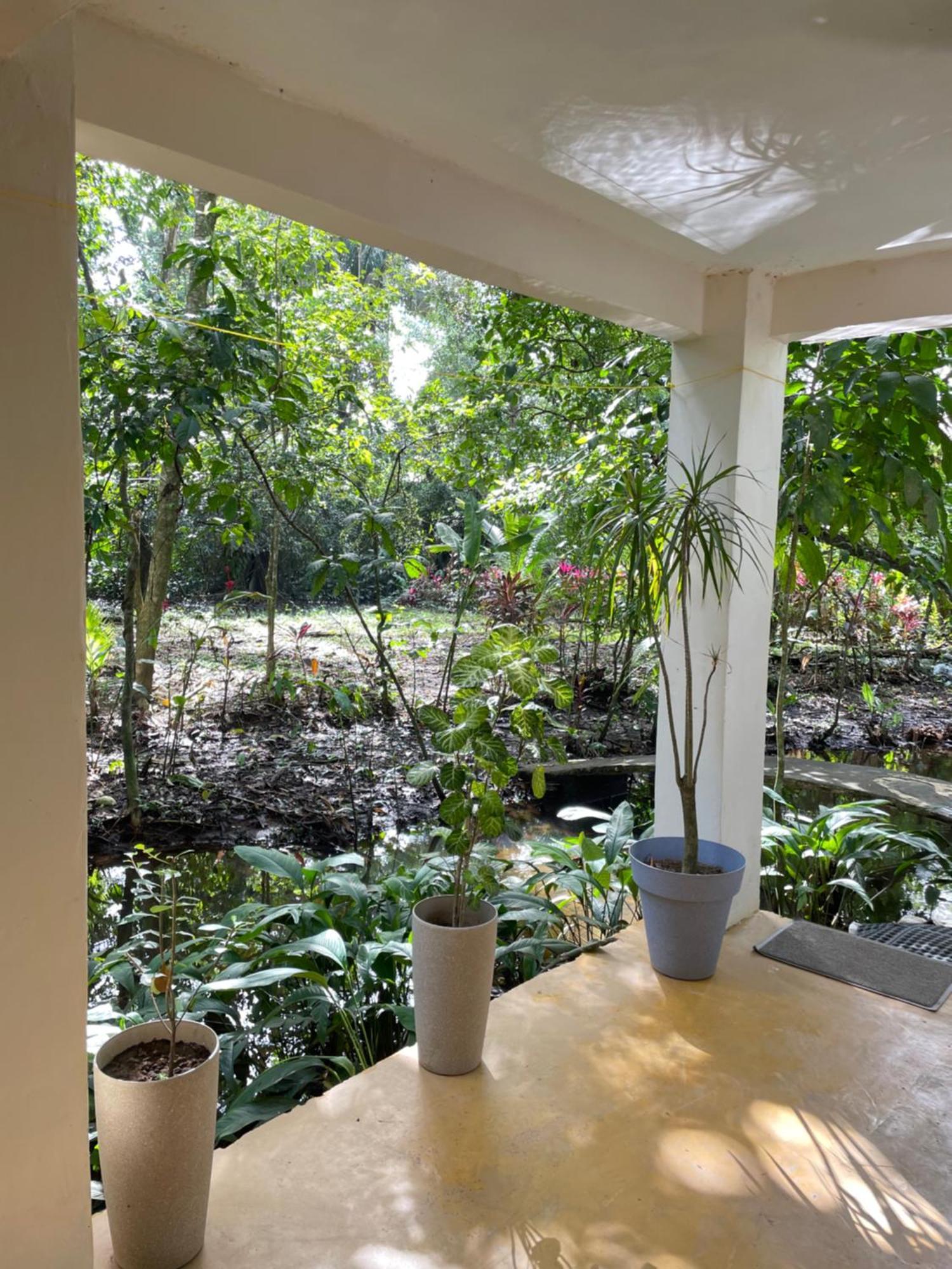 Casa Jaguar Tortuguero Villa Dış mekan fotoğraf